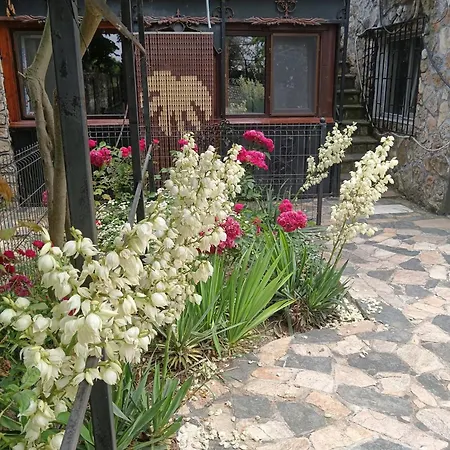Mavros Garsoniera *