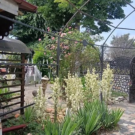 公寓 Mavros Garsoniera *